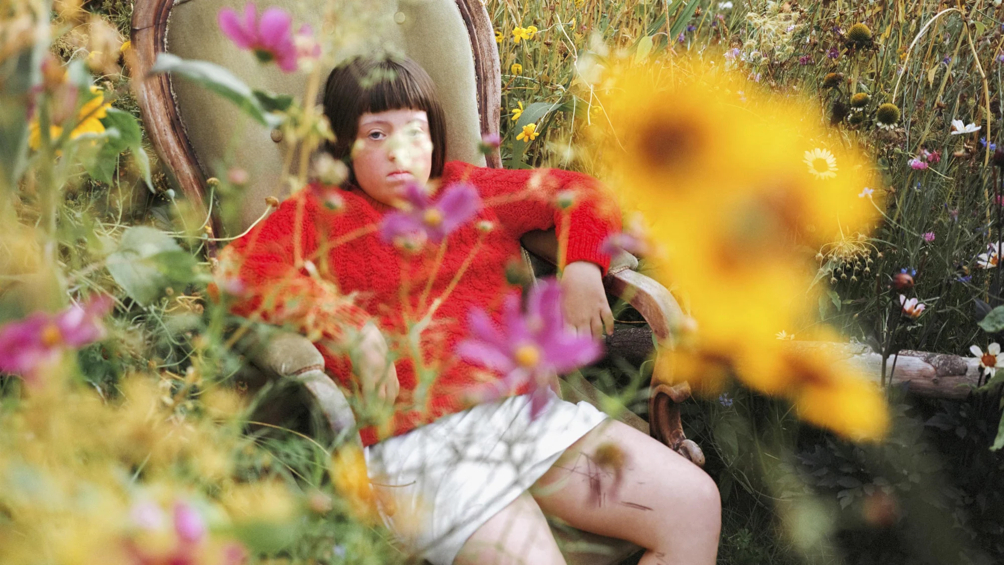 Tender photos reveal the quiet intimacy of an English country garden