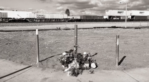 A photographer spent years memorializing some 300 sites of fatal police shootings across America